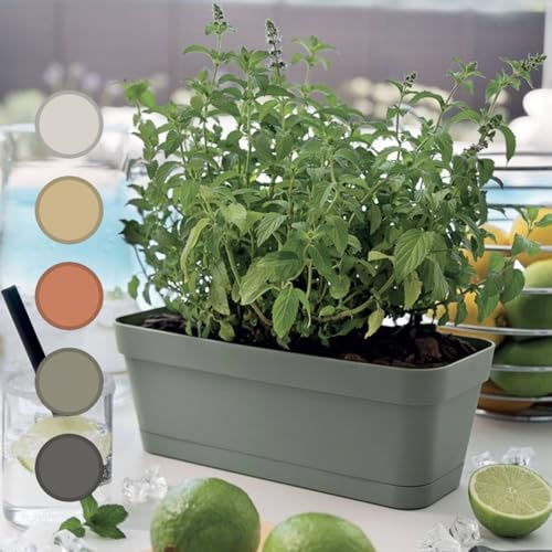 Generico Vaso Rettangolare Moderno per Piante Grasse e Bonsai Set 3, Design Italiano, Plastica Resistente con Sottovaso, 30cm, Ideale per Interni ed Esterni, Fioriere da Balcone (Verde Salvia)