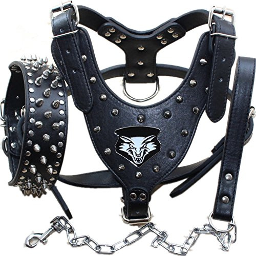 haoyueer Hundegeschirr aus Leder, Halsband und Leine, mit Nieten, 3-teiliges Set für mittelgroße und große Hunde z. B. Pitbull, Mastiff, Boxer, Bullterrier, 3er-Set, Größe L, schwarz