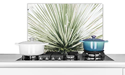 Credence Vert - Feuilles - Nature Fond de hotte 60x40 cm Credence aluminium Plaque inox de cuisine