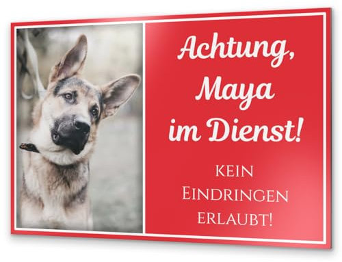 Vorsicht Hund Schild mit eigenem Foto - Warnung vor dem Hund Schilder - Achtung Hund Schild wetterfest - Hundeschild Warnung Warnschild - Hundeschilder personalisiert (Alu Dibond) (Design D4)