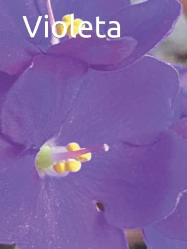 Violeta