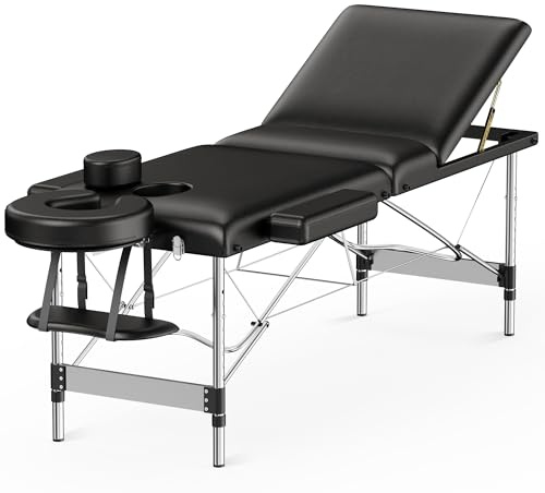 Brelley Massage Table Portable 84 Long 24 Wide Professional 3 Sections Reclining Massage Couch, Aluminum Adjustable Esthetician Bed Tattoo Table SPA Lash Salon Bed with Carrying Bag (Black)