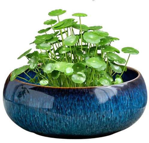 NASSMOSSE Lotus Bowl Planter Ceramic Bonsai Schale for Hydroponic Plants, Water Lotus Bowl, Multi-Use Planter for Succulents, Flowers and Aquatic Plants (16.5x6.5cm)