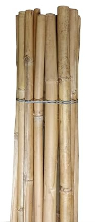 Pag Canne di bamboo ⌀ 20/22 mm Altezza 1500 mm | Tutori per Orto, Giardino e Arredo | Sostegno per Ortaggi e Piante rampicanti | 10 pezzi
