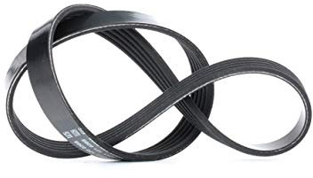 Dayco 5PK775 Correa Trapecial Poli V