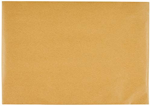 Blake Vita B5 Eco Kissen Recyceltes Kraftpapier Gepolstert Plastikfreies Papier Versandtaschen (REPDB5) 100 Stück, 250 x 176 mm