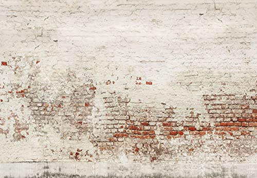 WallArena - Vlies Fototapete Steinwand Mauer Stein Ziegelstein Ziegel 416x290 cm - Fototapeten - Tapeten - für Wohnzimmer Schlafzimmer - Vliestapete Wandtapete Tapete 3D Effekt- inkl. Kleister