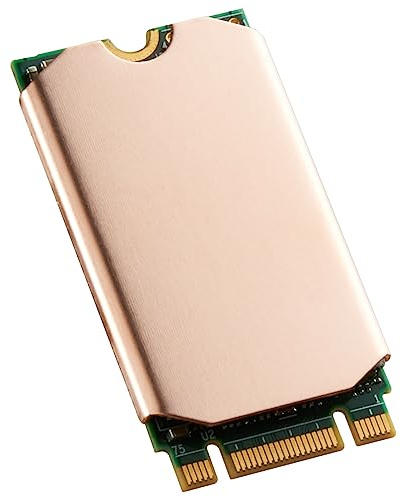 DolDer M.2 2242 SSD Kupfer Kühlkörper 0,5 mm Laptop NVMe M.2 Heatsink Hitzeschild Cover + Thermopad für Kühlung Laptop M.2 2242 SSD