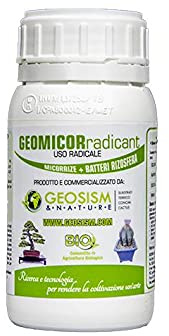 GEOSISM & NATURE - Geomicor Radicant, Inoculo liquido di funghi micorrizici e batteri della rizosfera per ortaggi, piante e fiori (0,25 KG)