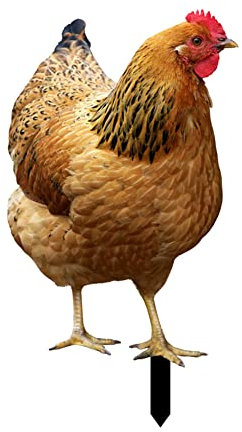 Labstandard Statues de Coq de Jardin résistantes aux intempéries en Acrylique pour décoration de Poule de la Ferme de la Cour du Patio de la pelouse de la Maison (A)