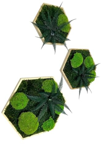 Gedankenwunder Manufaktur Moosbild Hexagon Dschungelblume & Hügelmoos Sechseck