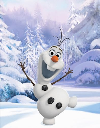 BERONAGE Grande Frozen La regina di ghiaccio Olaf Winter 130 x 170 cm super morbida coperta da soggiorno in pile Disney Anna Elsa Sven Kristoff Snowman Pass. per biancheria da letto