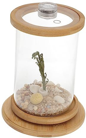 HAPINARY 1satz Dekorativer Desktop-Aquarium-Tank Rotierender Mikrolandschaftsgarten Mit -Beleuchtung Für Stilvolle Büro Und Wohnraumausstattung