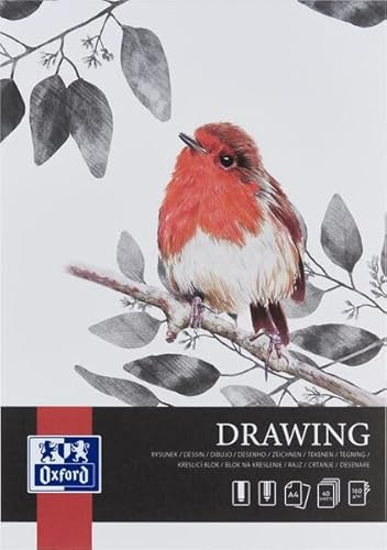 Oxford Art Zeichenblock, säurefreies, recycelbares Papier (Zeichenblock A4 40 Blatt 160g/m², 1)