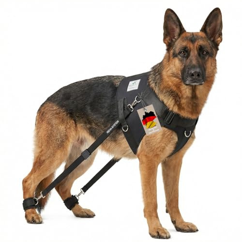 Nature Pet Hundeexpander & Rehageschirr für Hunde – Flexipander zur Rehabilitation, Mobilitätshilfe & sanften Unterstützung XS