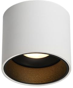 SKYGOO Faretti rotondi a testa singola, luci per centri commerciali da 10 W, fari antiriflesso montati su superficie, lampada per protezione degli occhi per soggiorno, camera da letto, faretti per sal