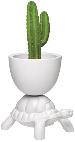 Qeeboo Turtle Carry Planter/Champagne Cooler White Cache Pot Tortue Blanc ou Rafraîchisseur de Champgne