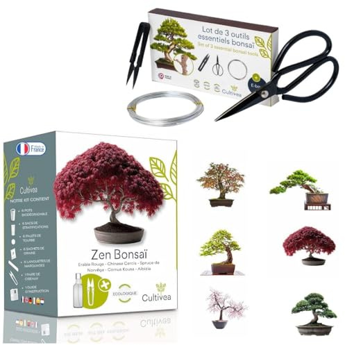 Cultivea – Kit completo Bonsai: mini kit pronto a spingere 6 bonsai + set di 3 strumenti essenziali in acciaio – semi francesi ecologici, idea regalo, cultura e manutenzione semplice, made in France
