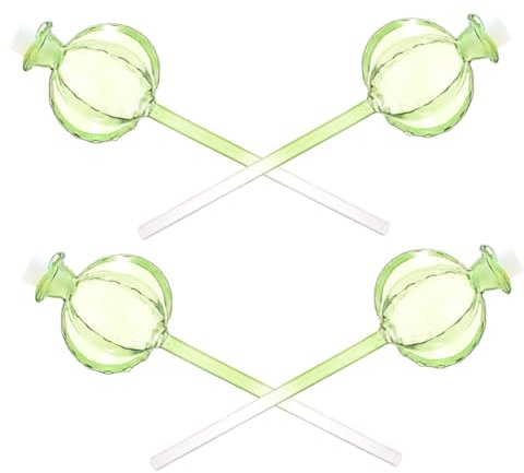 AKOOSY 4 Piezas Bolas de Riego para Plantas Autorriego Globos de Vidrio Transparente Forma de Cactus para Macetas Sistema Automático para Regar Bonsáis y Plantas de Interior y Exterior