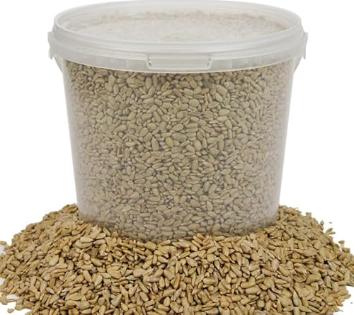 Graines de tournesol BusyBeaks - Nourriture de qualité de boulangerie pour oiseaux sauvages (1L)