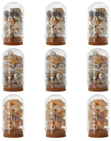 SUPERFINDINGS 9Pcs 3Styles Arch Shape Glass Dome Bell Jar with Natural Mixed Cowrie Shell, Glass Cloche Display Bell with Wooden Base Sea Styles Globes Case Keepsake Tabletop