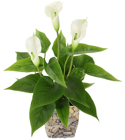 Callapflanze im Korb Kunstpflanze Calla weiße Blüten Kunstblumen Blume aus Kunststoff Unechte Künstliche Deko Gefälschte Topfblume Blumensträuße Seidenblumen Zantedeschia Aronstabgewächs Tribus Lilie