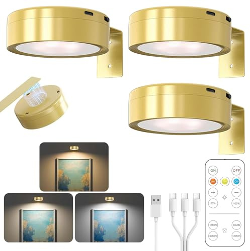 AXVRAV Bildbeleuchtung Kabellos, 3 Stück Aufladbar Bilderleuchte Kabellos mit Fernbedienung, Magnetisches LED Bilderleuchte Dimmbar mit Timing Funktion, für Bilderrahmen, Wand, Regal, Bilder(Gold)