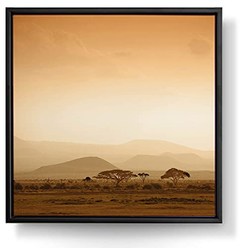 BilderKing Wandbild Afrika Savanne - 50cm x 50cm Leinwand auf 2cm Keilrahmen mit Schattenfugenrahmen schwarz