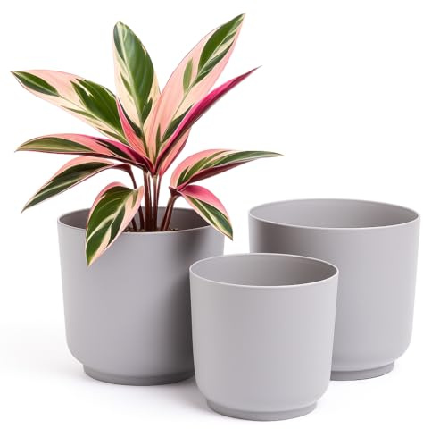 Home Garden Ornaments Luna Pflanzkübel für den Innenbereich – Set mit 3 Pflanzkübeln für den Innenbereich mit Matter Oberfläche, Blumentöpfe ohne Drainagelöcher (Größen: 13cm, 15cm, 17cm, Grau)