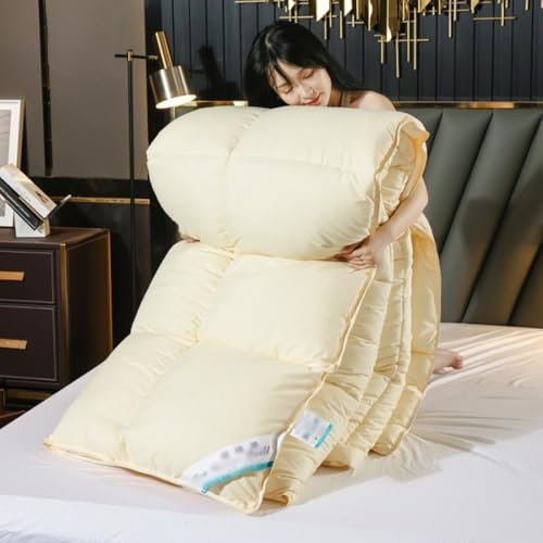 Daunen-Winterdecke, Winter Warm Sommer Weich Gesteppt Daunen Alternative Bettdecke, Gewaschene Baumwolle Steppdecke/Duvet, Wärme Atmungsaktiv, Maschinenwaschbar (G,180 * 220cm/4kg)