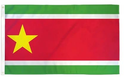 Drapeau de la Guadeloupe (étoile) 9,5 x 1,5 m (sans mât) - Drapeau international