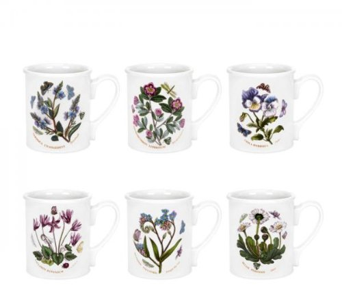 Botanic Garden Portmeirion Set di 6 Tazze da Colazione da 255 ml