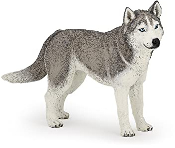 Papo - Siberian Husky-Figur Spielzeug für Kinder - ab 3 Jahren - Kollektion Hunde und Katzen - Lernspiel nordische Tiere - Geschenkidee Spielzeug für Mädchen und Jungen - 11,2 cm x 2,4 cm x 6,4 cm