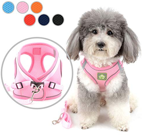 Zunea Hundegeschirr und Leine für kleine Hunde Welpen Verstellbar Reflektierend Brustgeschirr Weiches Netzgewebe Katzengeschirr Ausbruchsicher für Puppia Chihuahua Mädchen und Jungen Rose L