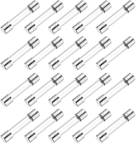 QUARKZMAN 3A Glassicherung 6x30mm, 20 Stück Schnellschlag Auslösecharakteristik 250V Sicherung für Leiterplatten Elektronische Geräte Haushaltsgeräte