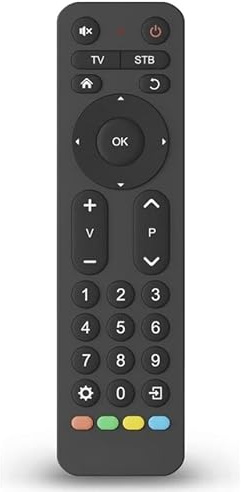 XINFUTE Compatible avec télécommande universelle Hama 2 appareils TV DVD magnétoscope infrarouge