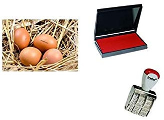 Ei Datumsanzeige Kit, inklusive 3 mm Gummi Datum Stempel und Stempelkissen mit Ei Sichere Lebensmittel Tinte – Rot