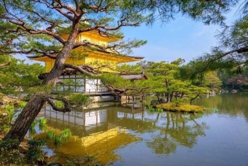 1000 Pieces Wooden Jigsaw Puzzles For Adults Golden Pavilion In Kyoto Japan Puzzle Game Artwork For Adults High Definition Printing Puzzle