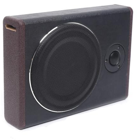DDZcozy - Altavoz de graves (8 600 W, para asiento de coche, color negro