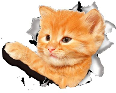 Toilettensitzaufkleber Katze aus Pvc Abnehmbar für Heimdekoration
