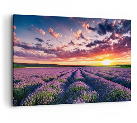 ARTTOR Leinwandbild 100x70cm Wandbild Botanik Landschaften - 3816 | Lavendel Gebirge Feld Groß Wanddekoration Wohnzimmer Schlafzimmer Küche Wanddeko Wand Kunstdruck Wandkunst Wall Decor ARTTOR