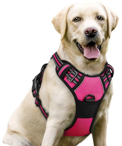 rabbitgoo Pettorina Cane Taglia Grande, Pettorina Cane ad h Regolabile con 2 Ganci in Metallo, Imbracatura per Cani Anti Tiro Riflettente, Imbracatura Traspirante per Addestramento, Rosa Rosso, L