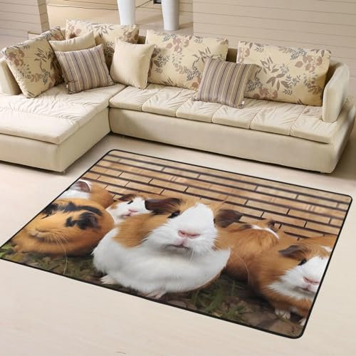 EVANEM Meerschweinchen Bedruckter Bereich Teppich Rutschfester Teppich Wohnzimmer Schlafzimmer Teppich Wohnkultur Memory Foam Teppiche Plüsch Teppich Wohnheim Dekor Einheitsgröße Für Gamer Zimmer