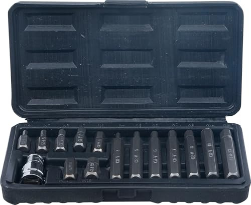 BGS Diy 5070 | Jeu d’embouts | 10 mm (3/8) | | six pans intérieurs | 15 pièces