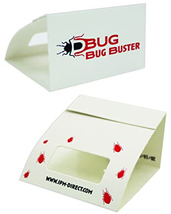 DBUG Bug Buster Spider Trap - Spiders and Crawling Insect Killer Traps - Child And Pet Safe - 6 Pack