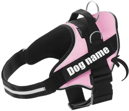 SUPER DOGGY Hundegeschirr personalisiert – Anti-Zug, reflektierend und sicher – Brustgeschirr für kleine, mittelgroße und große Hunde mit 2 Namensschildern (Rose, L 21-32K)