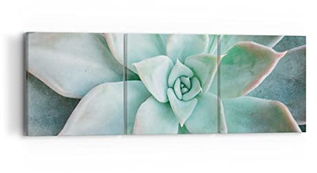 Mehrteilige Bilder auf Leinwand Blau Blätter Agave Leinwandbild 90x30cm Wandbilder Dekoration Wohnzimmer Schlafzimmer Set 3 teilige Klein Wanddeko Bild Wand Kunstdruck Art Decor Canvas CA90x30-4628
