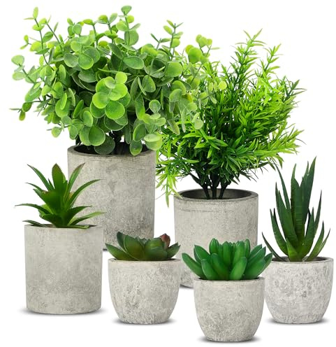 6 Stück Kunstpflanze, Mini Künstliche Pflanzen Schlangenzunge, Agave Sukkulente, Eagle Claw Aloe, Fake Plant für Home Schlafzimmer Badezimmer Küchen Büro Zimmer Fensterbank Zuhause Innen Dekoration