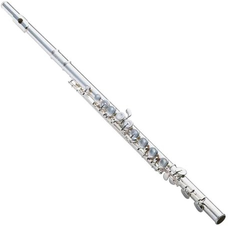 Flûte à instrument Flûte traversière Standard C flûte Double plaquée argent flûte française 16 trous fermés