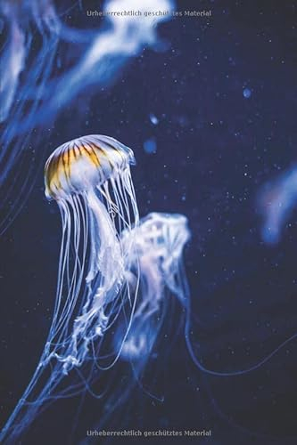 Aquarium Tagebuch: Planer, Notizbuch, Bestandsbuch, Futterplan für alle Auqarianer und Aquaristik Fans ♦ Logbuch für über 100 Einträge ♦ 6x9 Format ♦ Motiv: Qualle
